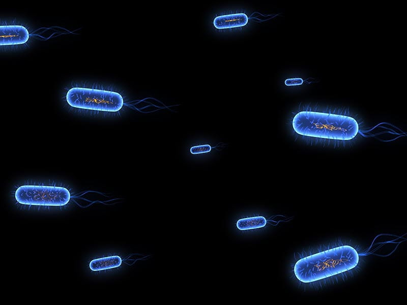 Bacteria_8n02A15F4S